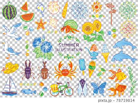 Summer illustration material set Summer illustration material set 78719814