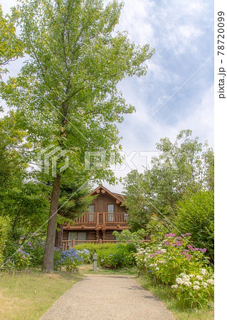 ロッジ舞洲 ログハウスと紫陽花 78720099