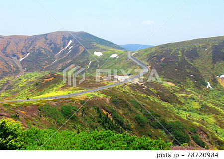 麗しき白根志賀高原 その2106 麗しき白根志賀高原 その2106 78720984