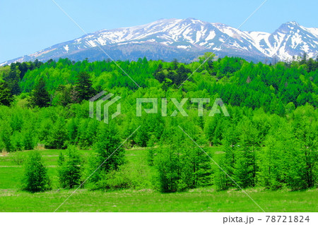 麗しき御岳山　その2106 78721824