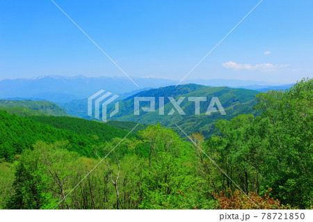 麗しき御岳山 その2106 麗しき御岳山 その2106 78721850