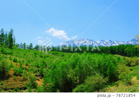 麗しき御岳山 その2106 麗しき御岳山 その2106 78721854