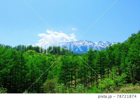 麗しき御岳山 その2106 麗しき御岳山 その2106 78721874