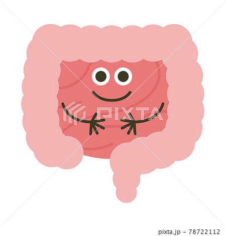 小腸のキャラクター キレイなピンク色の小腸のイラスト のイラスト素材