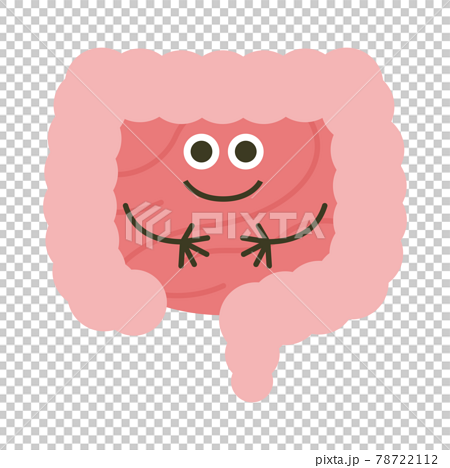 小腸のキャラクター キレイなピンク色の小腸のイラスト のイラスト素材