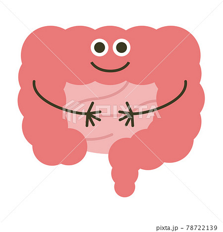 大腸のキャラクター キレイなピンク色の大腸と小腸のイラスト のイラスト素材