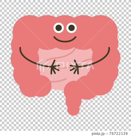 大腸のキャラクター キレイなピンク色の大腸と小腸のイラスト のイラスト素材