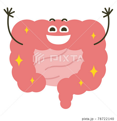 笑顔の大腸のキャラクター 腸内環境が良くて喜んでいる大腸のイラスト のイラスト素材