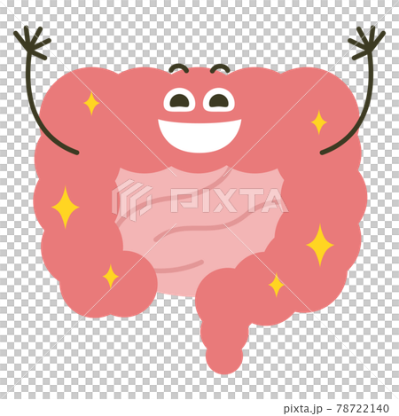 一個微笑的冒號字符。大腸的插圖，對良好的腸道環境感到滿意。 78722140