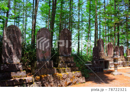 古来の石碑 その2106 ; 深山の石碑 その2106 古来の石碑 その2106 ; 深山の石碑 その2106 78722321