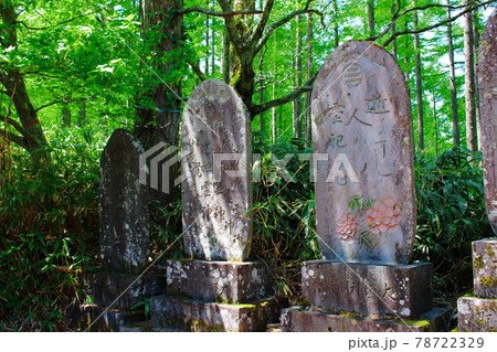 古来の石碑 その2106 ; 深山の石碑 その2106 古来の石碑 その2106 ; 深山の石碑 その2106 78722329