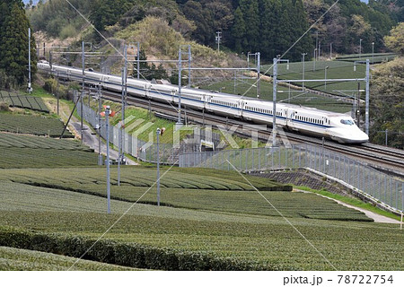 東海道新幹線　静岡県牧ノ原台地　緑の茶畑を疾走 78722754