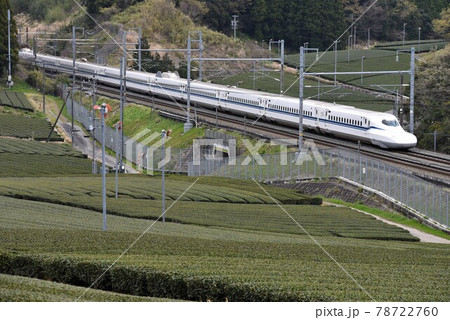 東海道新幹線　静岡県牧ノ原台地　緑の茶畑を疾走 78722760