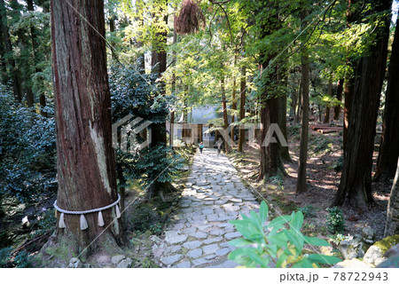 百済寺の秋景色 78722943