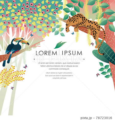 Vector illustration of Exotic Jungle with tropical flowers and animals. Design for banner, poster, card, invitation and scrapbook 78723016