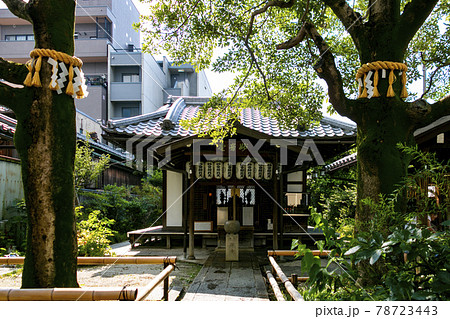 青龍妙音弁財天(妙音辨戝天・出町妙音堂)(京都府京都市上京区青龍町) 青龍妙音弁財天(妙音辨戝天・出町妙音堂)(京都府京都市上京区青龍町) 78723443