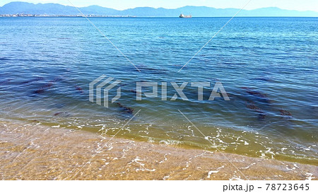 愛媛県松山市の興居島の浜辺から眺める夏の伊予灘【6月】 愛媛県松山市の興居島の浜辺から眺める夏の伊予灘【6月】 78723645