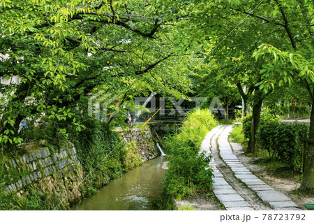 哲学の道(京都府京都市左京区) 哲学の道(京都府京都市左京区) 78723792