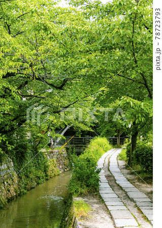 哲学の道（京都府京都市左京区） 78723793