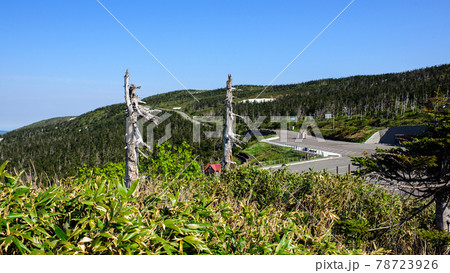 春　八幡平頂上駐車場展望台よりの絶景 78723926