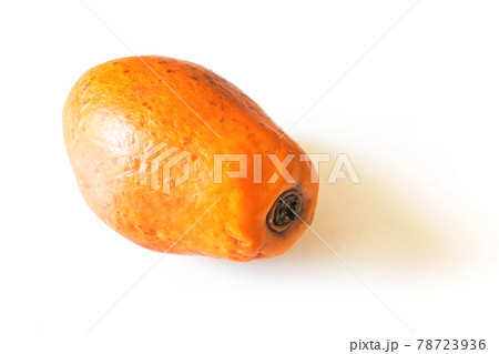 パパイヤ2 78723936