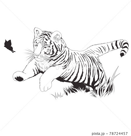 子供のトラのイラスト素材