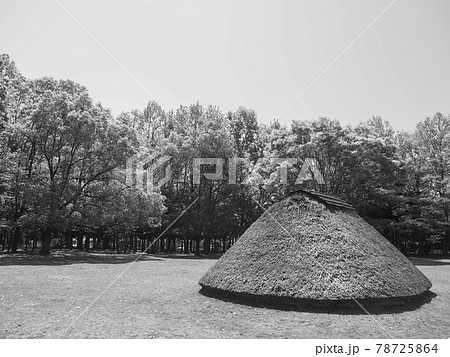 埼玉県富士見市・水子貝塚公園 埼玉県富士見市・水子貝塚公園 78725864