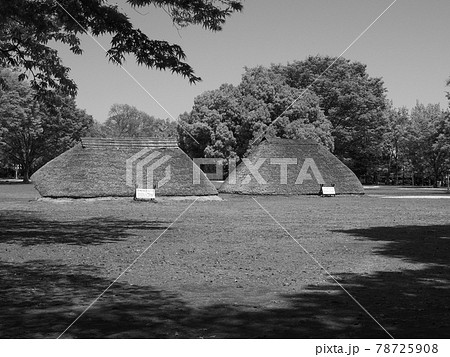 埼玉県富士見市・水子貝塚公園 埼玉県富士見市・水子貝塚公園 78725908