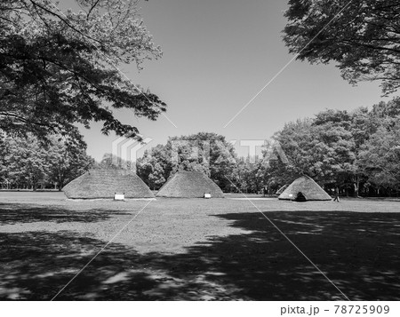 埼玉県富士見市・水子貝塚公園 埼玉県富士見市・水子貝塚公園 78725909