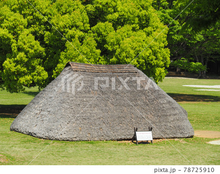 埼玉県富士見市・水子貝塚公園 埼玉県富士見市・水子貝塚公園 78725910