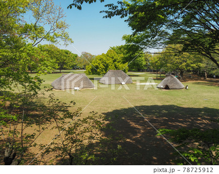 埼玉県富士見市・水子貝塚公園 埼玉県富士見市・水子貝塚公園 78725912