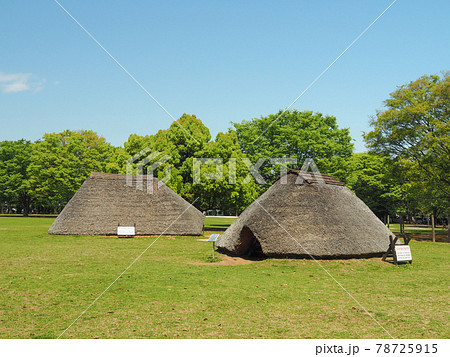 埼玉県富士見市・水子貝塚公園 埼玉県富士見市・水子貝塚公園 78725915