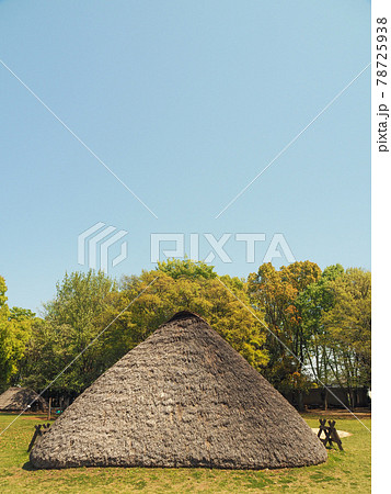 埼玉県富士見市・水子貝塚公園 埼玉県富士見市・水子貝塚公園 78725938