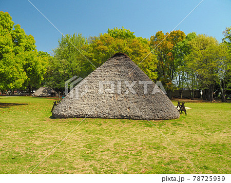 埼玉県富士見市・水子貝塚公園 埼玉県富士見市・水子貝塚公園 78725939