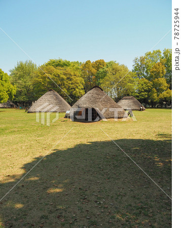 埼玉県富士見市・水子貝塚公園 埼玉県富士見市・水子貝塚公園 78725944