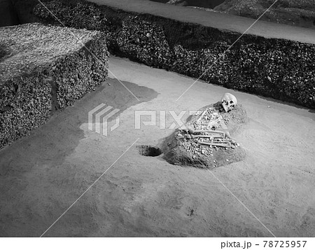 埼玉県富士見市・水子貝塚公園 78725957