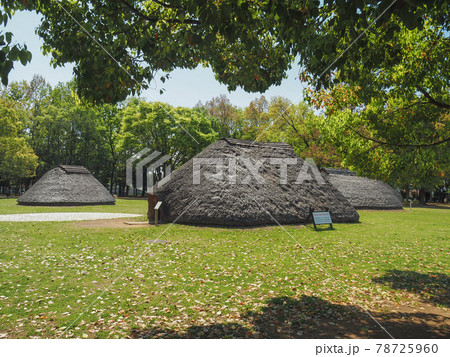 埼玉県富士見市・水子貝塚公園 埼玉県富士見市・水子貝塚公園 78725960
