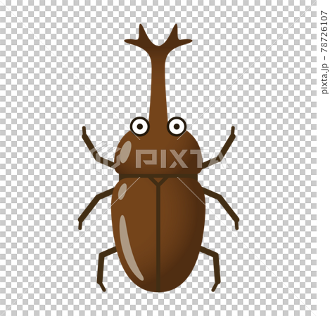 Illustration image of beetle 78726107