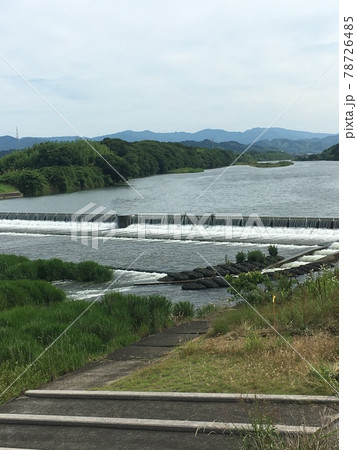 わし魚やけど、なんで魚道隅っこなんや わし魚やけど、なんで魚道隅っこなんや 78726485