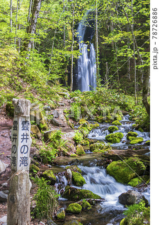 青森県　早春の奥入瀬渓流　雲井の滝01 78726886
