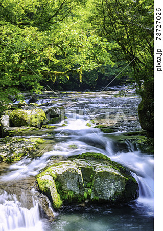 被選為日本百景之一的美麗的菊池峽 熊本縣菊池市 照片素材 圖片 圖庫
