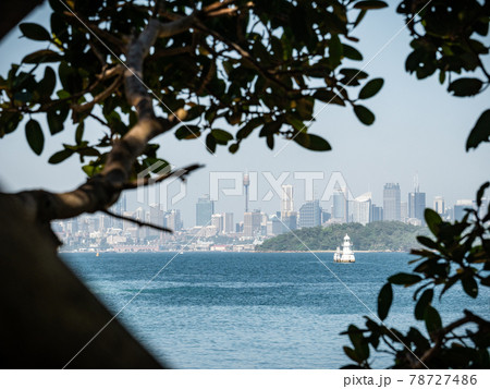 Sydney skyline shot through tree branches,Shot in Sydney, New South Wales, Australia 78727486