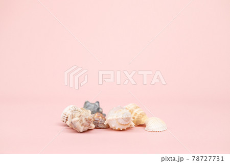 A lot of different sea shells on pink background. Empty place to display product packaging. Showcase mockup. Cosmetics product advertising backdrop. A lot of different sea shells on pink background. Empty place to display product packaging. Showcase mockup. Cosmetics product advertising backdrop. 78727731
