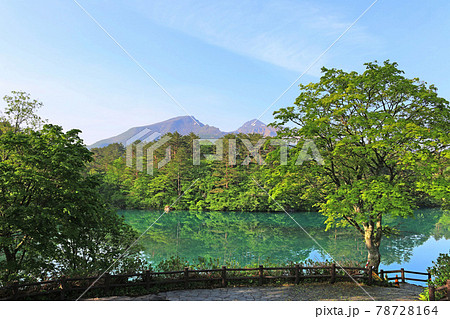 初夏の五色沼「毘沙門沼と磐梯山」（福島県・北塩原村） 78728164