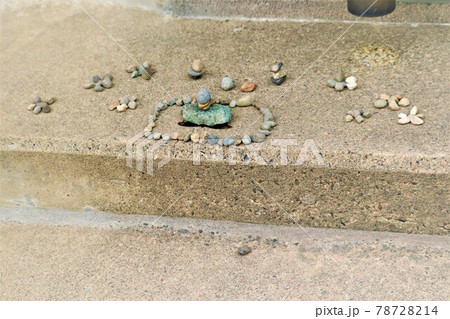 子供が作った芸術的なチョウチョのお墓 子供が作った芸術的なチョウチョのお墓 78728214