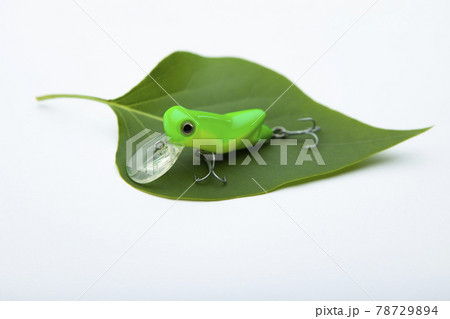 image of fishing bait leaf white background  78729894
