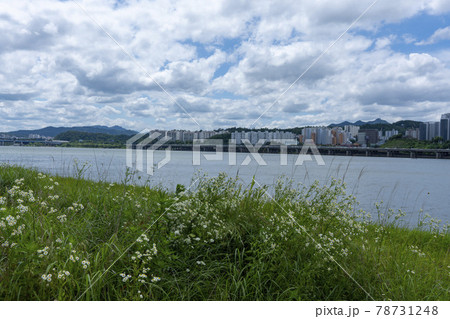 風景 韓国 現代建築 78731248