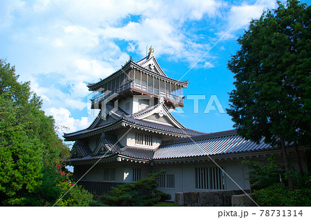 岩崎城天守閣と青空 78731314
