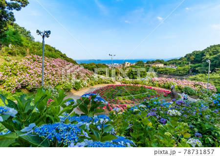 形原温泉 あじさいの里〈愛知県蒲郡市〉 78731857