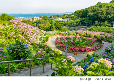 形原温泉 あじさいの里〈愛知県蒲郡市〉 78731858